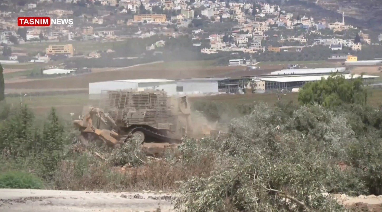أشجار الزيتون , شجرة الزيتون , فلسطين , الكيان الإسرائيلي , الضفة الغربية , تهجير الفلسطينيين , نزوح الفلسطينيين , 