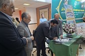 جشن میلاد حضرت زینب(س) در بیرجند