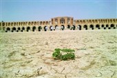 64 درصد جمعیت ایران درگیر خشکسالی شدید است