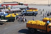 تکذیب ‌ممنوعیت‌ تردد مسافران و ‌کامیون‌های ‌صادراتی از مرز مهران