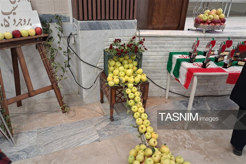 استان لرستان , اخبار استان لرستان , اخبار شهرستان بروجرد , 