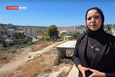 تقرير تسنيم | هل أصبحت شجرة الزيتون إرهابية؟ أهالي نعلين يروون مأساة التجريف