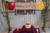 قاب تسنیم از جشنواره ملی سیب بروجرد؛ از باغ تا آیین شکرگزاری+تصاویر
