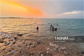 جریان زندگی در هرمز