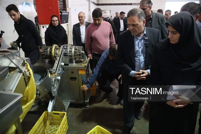 اخبار استان زنجان , اخبار زنجان , استاندار زنجان , 