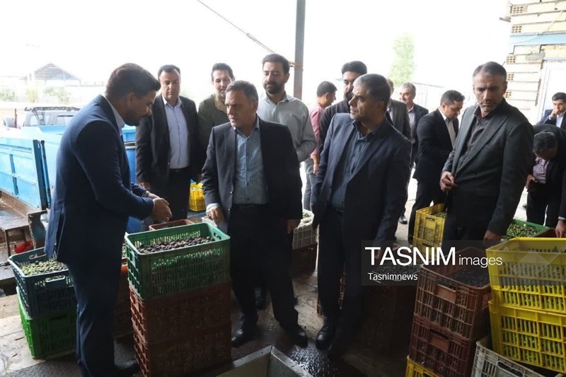 اخبار استان زنجان , اخبار زنجان , استاندار زنجان , 