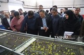 سفر استاندار زنجان به طارم