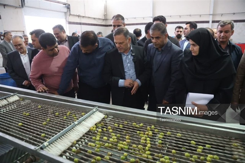 اخبار استان زنجان , اخبار زنجان , استاندار زنجان , 