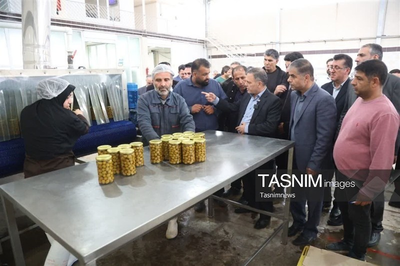 اخبار استان زنجان , اخبار زنجان , استاندار زنجان , 