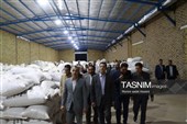 جشنواره ملی پسته در شهر جنگل  رشتخوار