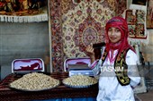جشنواره ملی پسته در شهر جنگل  رشتخوار