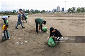 پاکسازی ساحل کلاچای
