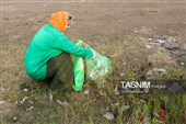 پاکسازی ساحل کلاچای