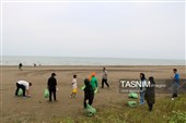 پاکسازی ساحل کلاچای
