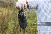 پاکسازی ساحل کلاچای