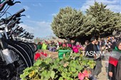 همایش پیاده‌روی خانوادگی زنجان‌