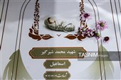 حضور استادان دانشگاه‌های کشور در مدرسه شجره طیبه و‌ گلزار شهدای دانش‌آموز میناب