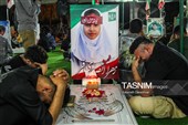 حضور استادان دانشگاه‌های کشور در مدرسه شجره طیبه و‌ گلزار شهدای دانش‌آموز میناب