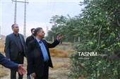 سفر استاندار زنجان به شهرستان طارم