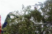 سفر استاندار زنجان به شهرستان طارم