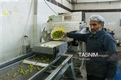 سفر استاندار زنجان به شهرستان طارم