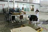 سفر استاندار زنجان به شهرستان طارم