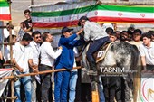 پنجمین دوره همایش بزرگ جام ارسباران - اهر