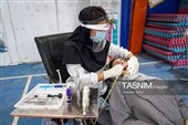 سفیران سلامت در حاشیه بجنورد