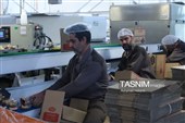 بازدید خبرنگاران خراسان رضوی از کارخانه نان رضوی مشهد