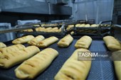 بازدید خبرنگاران خراسان رضوی از کارخانه نان رضوی مشهد