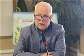 ابلاغ کشت 133 هزار هکتار گندم دیم در خراسان رضوی