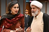 نگرانی سنای پاکستان از تأمین سوخت تا پایان سال میلادی