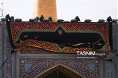 نصب کتیبه‌های شهادت حضرت زهرا (س) در حرم مطهر رضوی