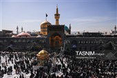 نصب کتیبه‌های شهادت حضرت زهرا (س) در حرم مطهر رضوی