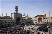 نصب کتیبه‌های شهادت حضرت زهرا (س) در حرم مطهر رضوی
