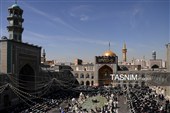نصب کتیبه‌های شهادت حضرت زهرا (س) در حرم مطهر رضوی