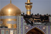 نصب کتیبه‌های شهادت حضرت زهرا (س) در حرم مطهر رضوی