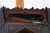 نصب کتیبه‌های شهادت حضرت زهرا(س) در حرم مطهر رضوی