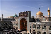نصب کتیبه‌های شهادت حضرت زهرا(س) در حرم مطهر رضوی