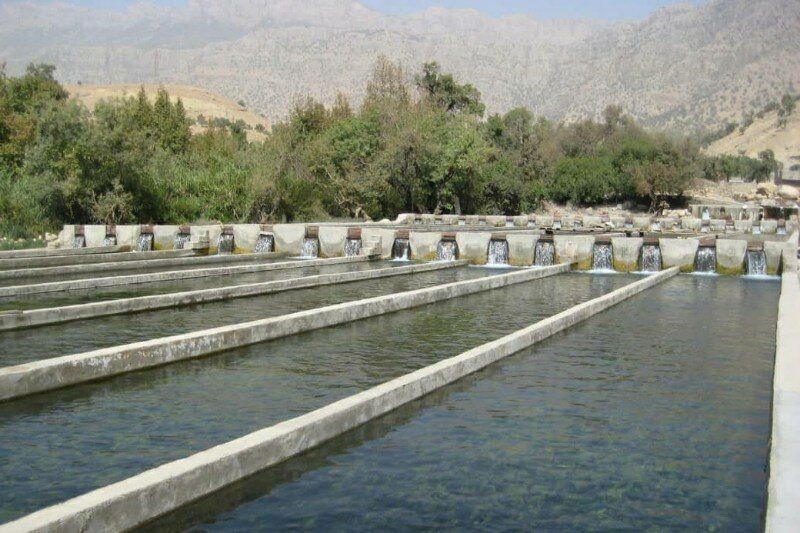 اخبار استان چهارمحال و بختیاری , اخبار شهرکرد , کشاورزی ,
