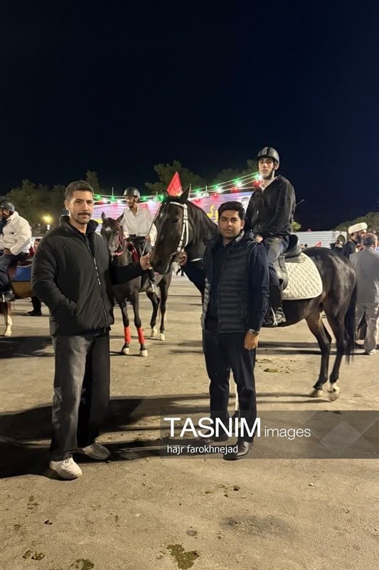 اخبار استان خراسان جنوبی , خبرگزاری تسنیم , فدراسیون ورزش پهلوانی , جانفدا ,