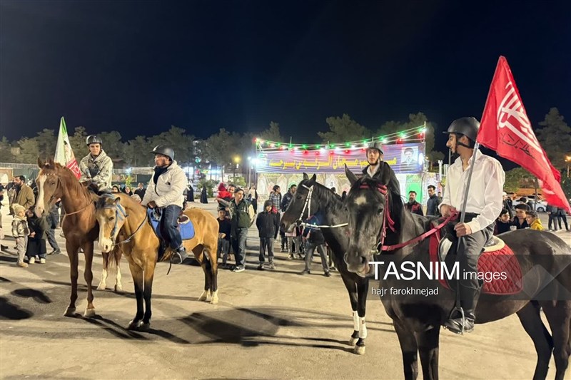 اخبار استان خراسان جنوبی , خبرگزاری تسنیم , فدراسیون ورزش پهلوانی , جانفدا ,