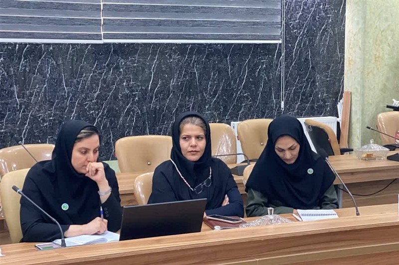 اخبار سنندج , اخبار استان کردستان , سازمان منابع طبیعی , 