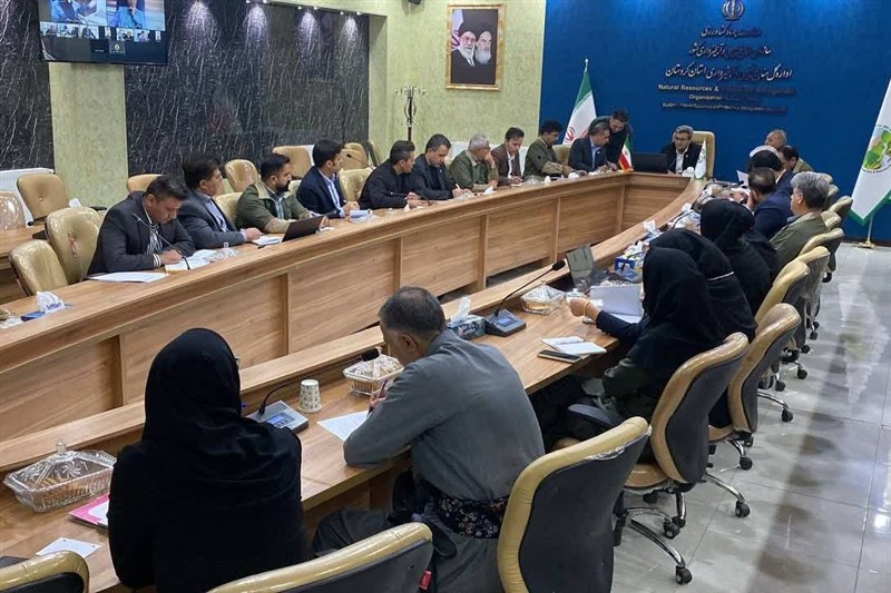 اخبار سنندج , اخبار استان کردستان , سازمان منابع طبیعی , 