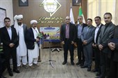 خراسان جنوبی پایلوت بیمه افت تولید دام سبک مولد عشایری شد
