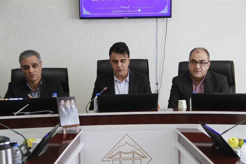 اخبار استان خراسان جنوبی , خبرگزاری تسنیم , بیمه , 
