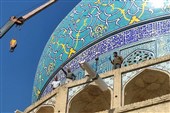 اصلاح و ساماندهی 50 ناودان در بناهای تاریخی میدان نقش‌جهان اصفهان