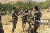25 هزار مترمربع از اراضی بویراحمد از چنگ زمین‌خواران آزاد شد