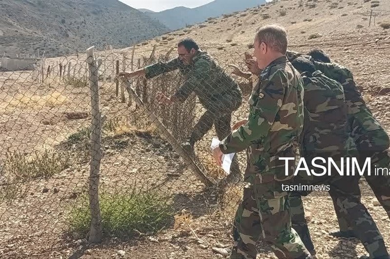 سازمان منابع طبیعی ,