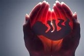 تولدهای طرح مقابله با سقط جنین عمدی از 21هزار تولد عبور کرد